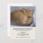 かわいい小さなキツネが冬の写真のクリスマスを丸めた インビテーションポストカード (正面/裏面)