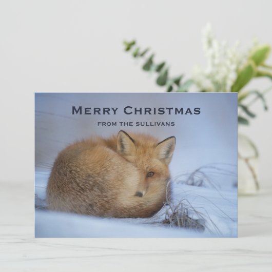 かわいい小さなキツネが冬の写真のクリスマスを丸めた シーズンカード (スタンド正面)