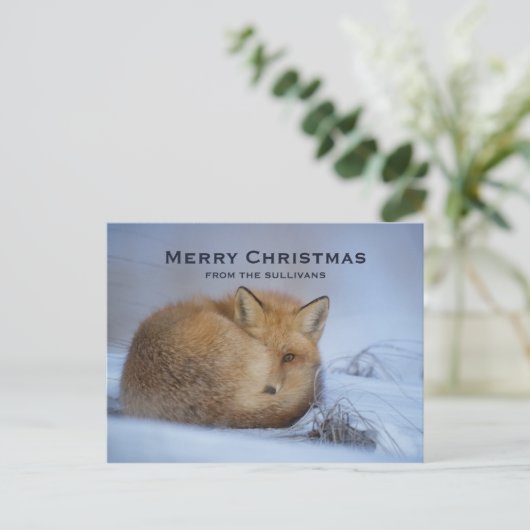 かわいい小さなキツネが冬の写真のクリスマスを丸めた シーズンポストカード (スタンド正面)