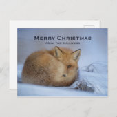 かわいい小さなキツネが冬の写真のクリスマスを丸めた シーズンポストカード (正面/裏面)