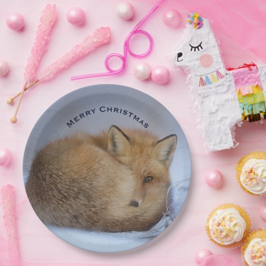 かわいい小さなキツネが冬の写真のクリスマスを丸めた ペーパープレート (パーティー)