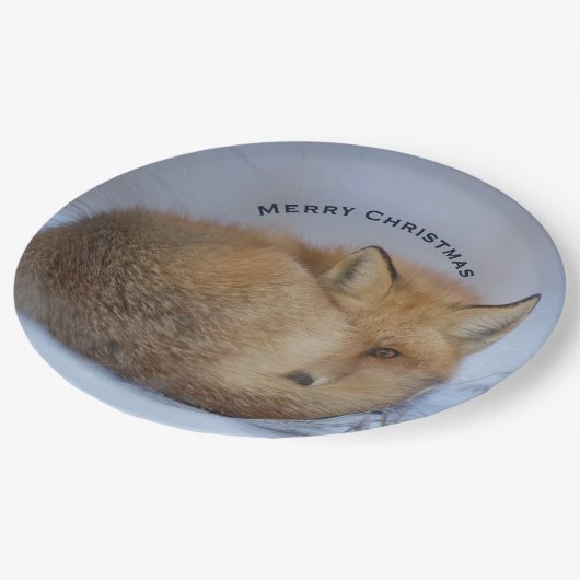 かわいい小さなキツネが冬の写真のクリスマスを丸めた ペーパープレート (アングル)