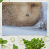 かわいい小さなキツネが冬の写真を丸めた キッチンタオル (折り畳み)