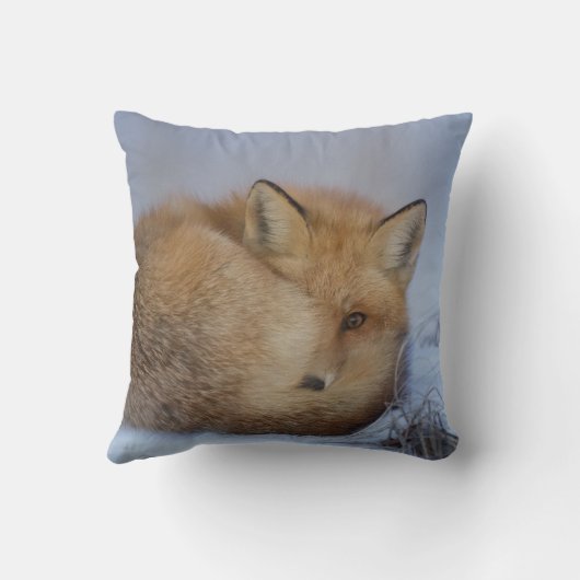かわいい小さなキツネが冬の写真を丸めた クッション (裏面)
