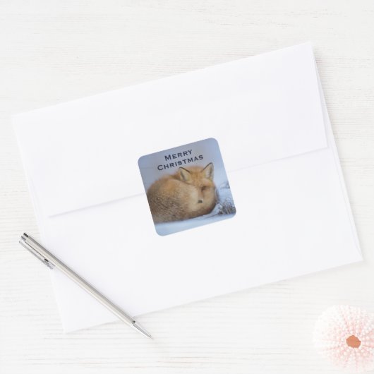 かわいい小さなキツネが冬の写真を丸めた スクエアシール (封筒)