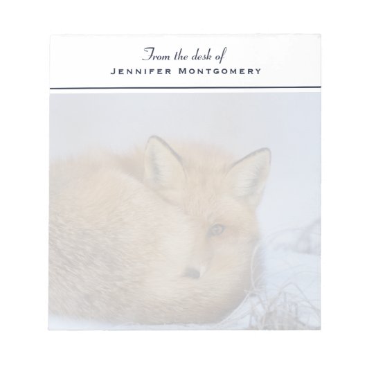 かわいい小さなキツネが冬の写真を丸めた ノートパッド (正面)