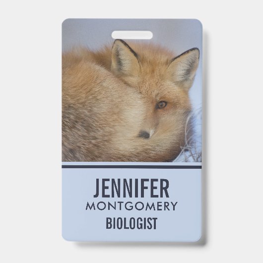 かわいい小さなキツネが冬の写真を丸めた バッジ (正面)