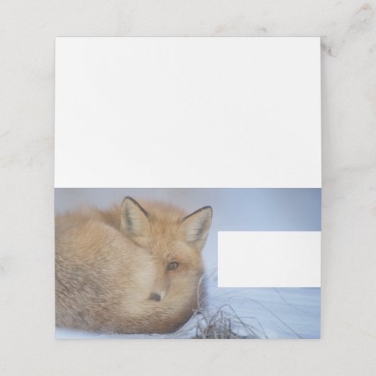 かわいい小さなキツネが冬の写真を丸めた プレイスカード (外部開封)