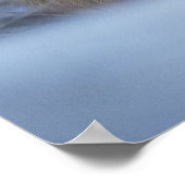 かわいい小さなキツネが冬の写真を丸めた ポスター (角)