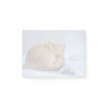 かわいい小さなキツネが冬の写真を丸めた