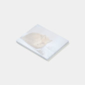 かわいい小さなキツネが冬の写真を丸めた ポストイット (アングル)