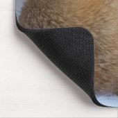 かわいい小さなキツネが冬の写真を丸めた マウスパッド (コーナー)