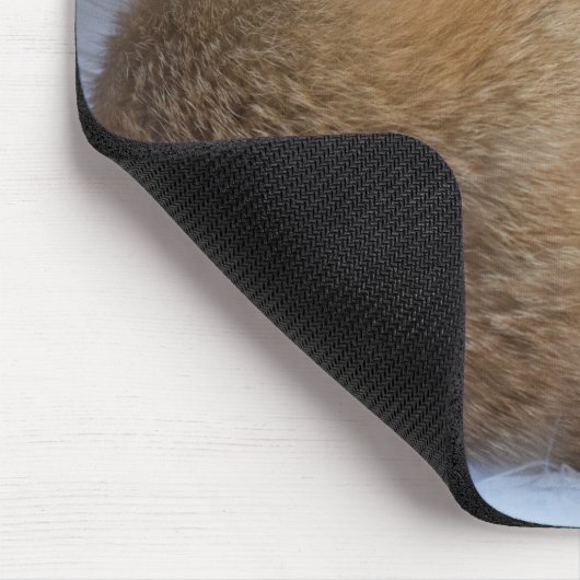 かわいい小さなキツネが冬の写真を丸めた マウスパッド (コーナー)