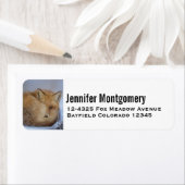 かわいい小さなキツネが冬の写真を丸めた ラベル (インサイチュ)