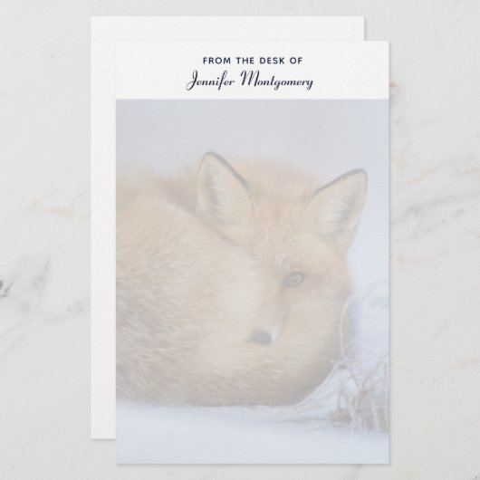 かわいい小さなキツネが冬の写真を丸めた 便箋 (正面/裏面)