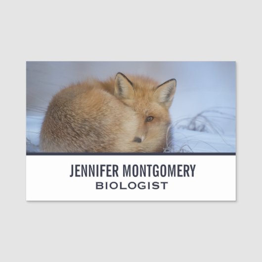 かわいい小さなキツネが冬の写真を丸めた 名札 (正面)
