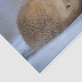 かわいい小さなキツネが冬の写真を丸めた 薄葉紙 (詳細)