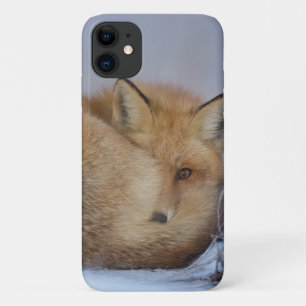 かわいい小さなキツネが冬の写真を丸めた iPhone 11 ケース