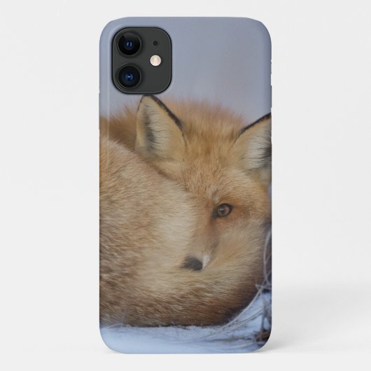 かわいい小さなキツネが冬の写真を丸めた Case-Mate iPhoneケース (裏面)