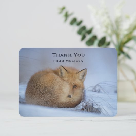 かわいい小さなキツネカール冬の写真ありがとう サンキューカード (スタンド正面)
