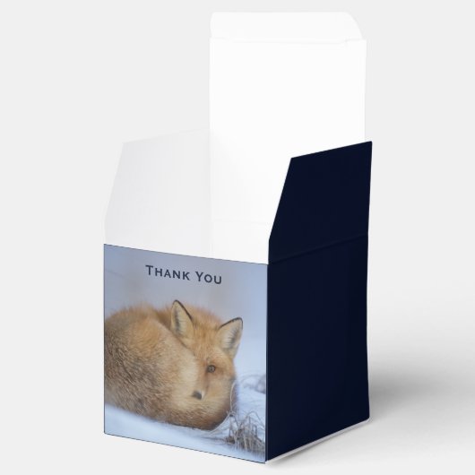 かわいい小さなキツネカール冬の写真ありがとう フェイバーボックス (オープン)