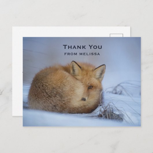 かわいい小さなキツネカール冬の写真ありがとう ポストカード (正面/裏面)