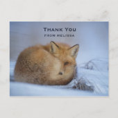 かわいい小さなキツネカール冬の写真ありがとう ポストカード (正面)