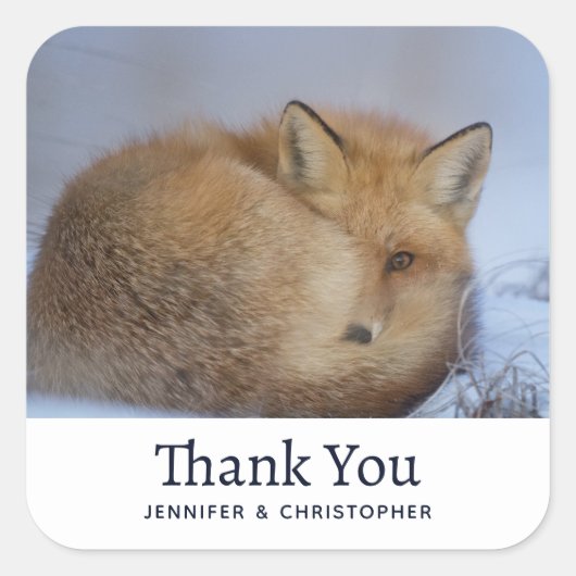 かわいい小さなキツネカール冬の写真誕生日 スクエアシール (正面)