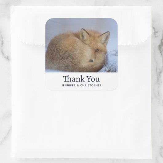 かわいい小さなキツネカール冬の写真誕生日 スクエアシール (バッグ)