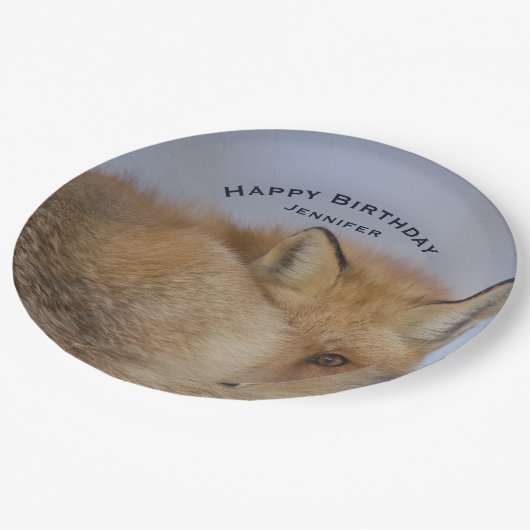 かわいい小さなキツネカール冬の写真誕生日 ペーパープレート (アングル)