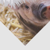 かわいい小さなクリスマス・ピグレット 薄葉紙 (詳細)