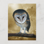 かわいい小さなバーンドウルファンタジー ポストカード (正面)