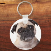かわいい小さなパグ キーホルダー (正面)