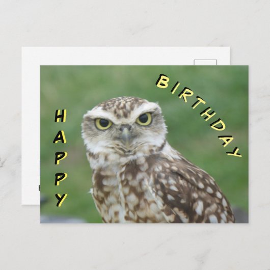 かわいい小さなフクロウハッピーバースデーはがき ポストカード (正面/裏面)