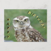 かわいい小さなフクロウハッピーバースデーはがき ポストカード (正面)