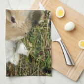 かわいい小さなフワフワのバンニー キッチンタオル (四つ折り)