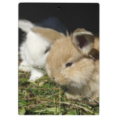 かわいい小さなフワフワのバンニー クリップボード (裏面)