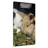 かわいい小さなフワフワのバンニー クリップボード (右)