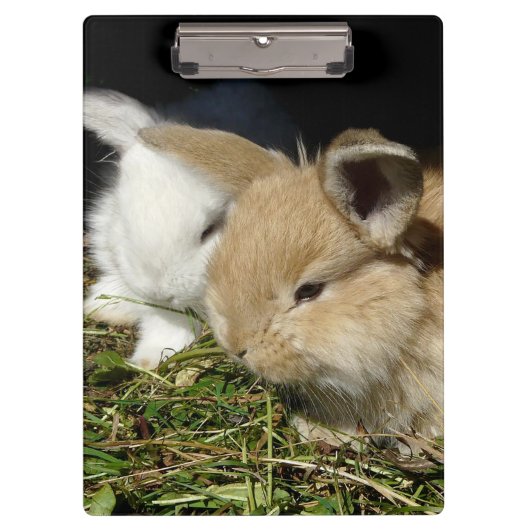 かわいい小さなフワフワのバンニー クリップボード (正面)