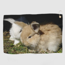 かわいい小さなフワフワのバンニー