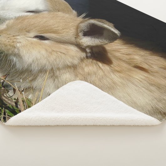 かわいい小さなフワフワのバンニー シェルパブランケット (3/4)