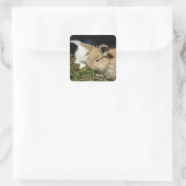 かわいい小さなフワフワのバンニー スクエアシール (バッグ)