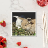 かわいい小さなフワフワのバンニー スタンダードカクテルナプキン (インサイチュ)