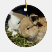 かわいい小さなフワフワのバンニー セラミックオーナメント (正面)