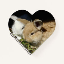 かわいい小さなフワフワのバンニー