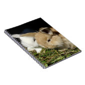 かわいい小さなフワフワのバンニー ノートブック (右側)