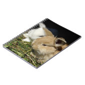 かわいい小さなフワフワのバンニー ノートブック (左側)