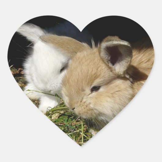 かわいい小さなフワフワのバンニー ハートシール (正面)