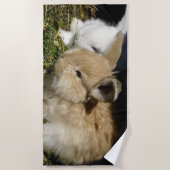 かわいい小さなフワフワのバンニー ビーチタオル (正面)