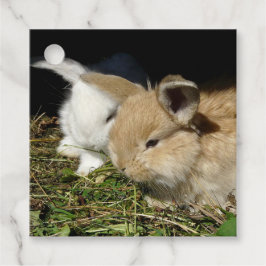 かわいい小さなフワフワのバンニー フェイバータグ